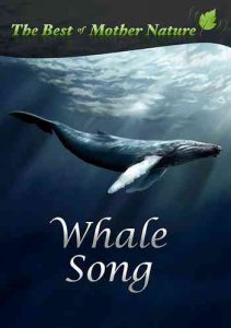 دانلود آهنگ خارجی تنهاترین نهنگ دنیا Whale Iday