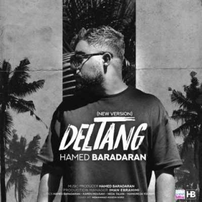 Hamed Baradaran – Deltang (New Version) دانلود آهنگ جدید دلتنگ حامد برادران