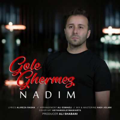 Nadim – Gole Ghermez دانلود آهنگ جدید گل قرمز ندیم